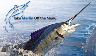 Take Marlin Of The Menu.jpg